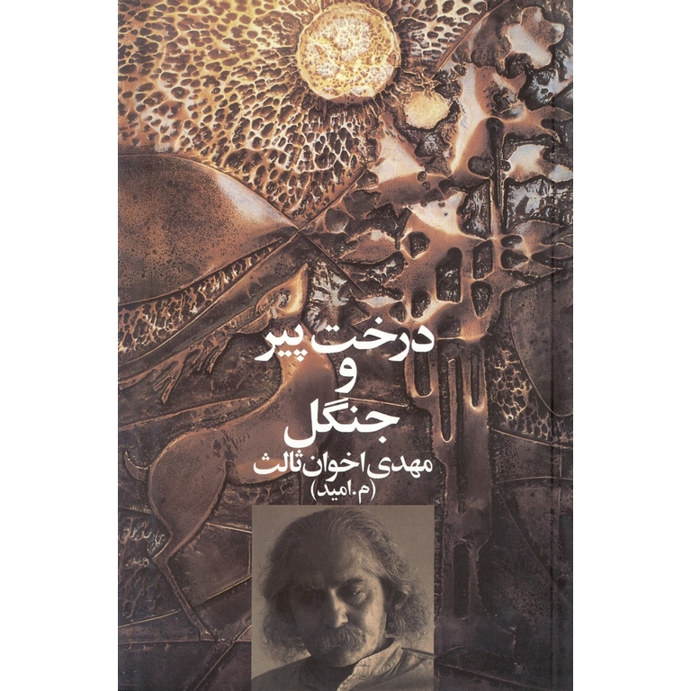 درخت پیر و جنگل