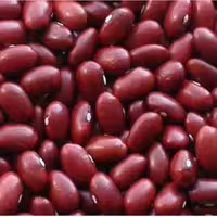 لوبیا قرمز،  زودپز.نیم کیلو ، ( حبوبات ) تضمین کیفیت ،تضمین قیمت،