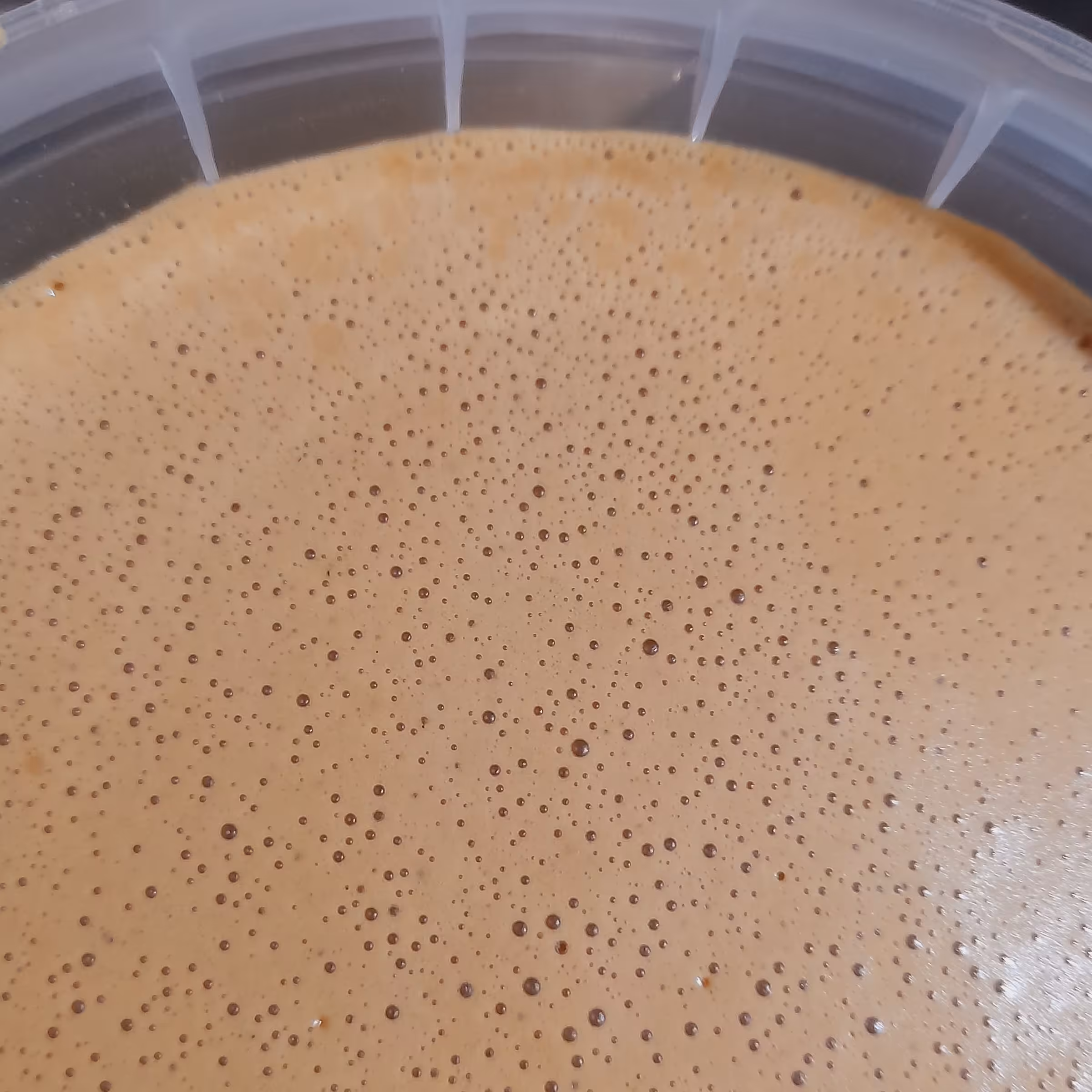 شیره انگور سفید ملایر بسیار خوشمزه ومقوی(500)گرم