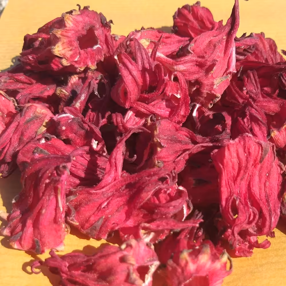 چای ترش غنچه ایرانی 1کیلوگرم محصول جنوب کشور رنگ عالی بدون سم وکود