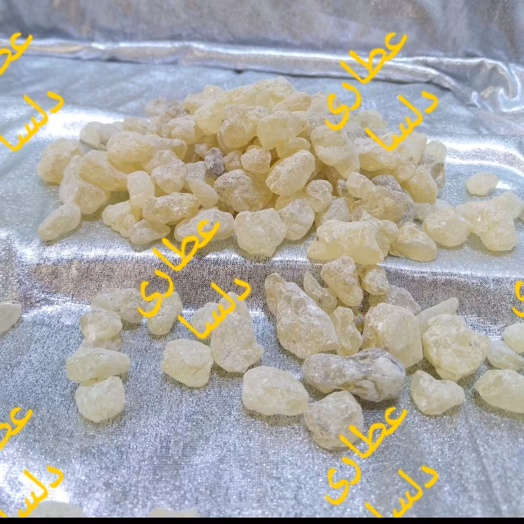 مصطکی اصلی 125 گرمی