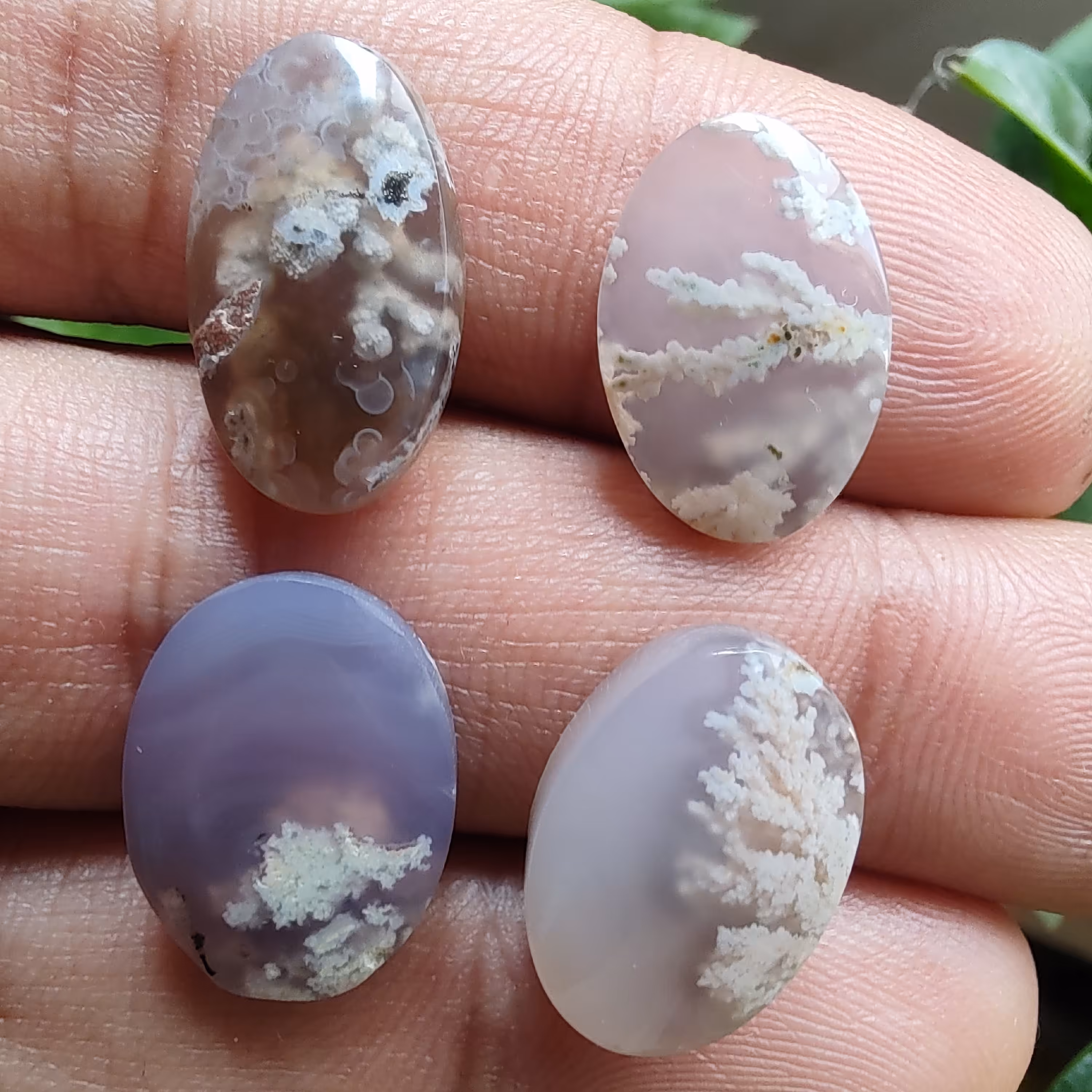 پک چهار عددی عقیق شجر