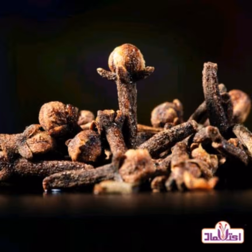 میخک 20 گرمی اعتماد درشت و معطر