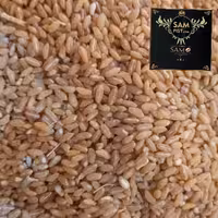 گندم حلیمی ممتاز کیلویی 50