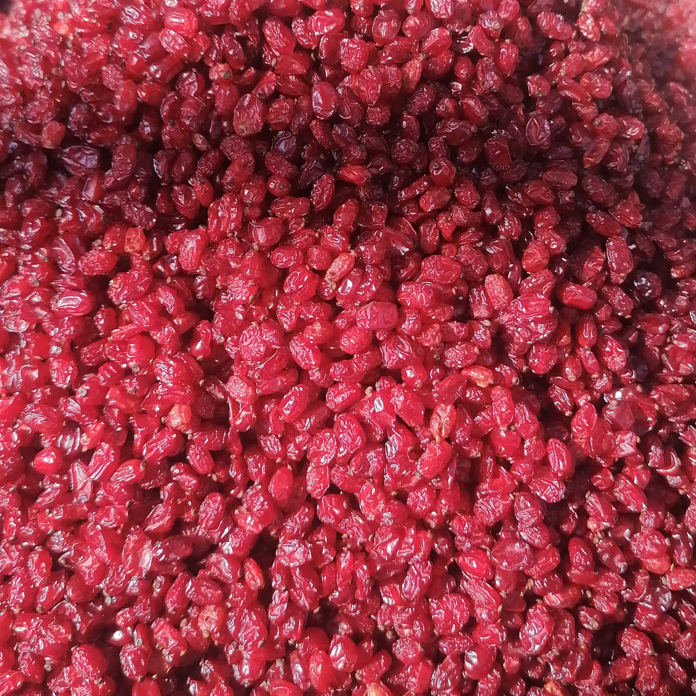  زرشک پفکی درجه 1 (1کیلویی) 