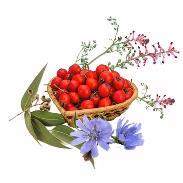 چهار عرق سرد