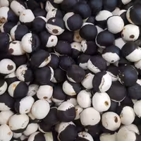 کشک دو رنگ قره قروتی ترش خوش طعم 250 گرم