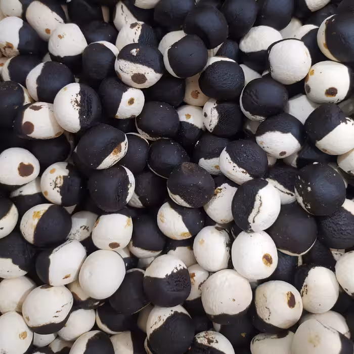 کشک دو رنگ قره قروتی ترش خوش طعم 250 گرم