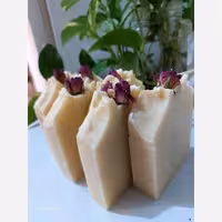 صابون درمانی  شتر مرغ 