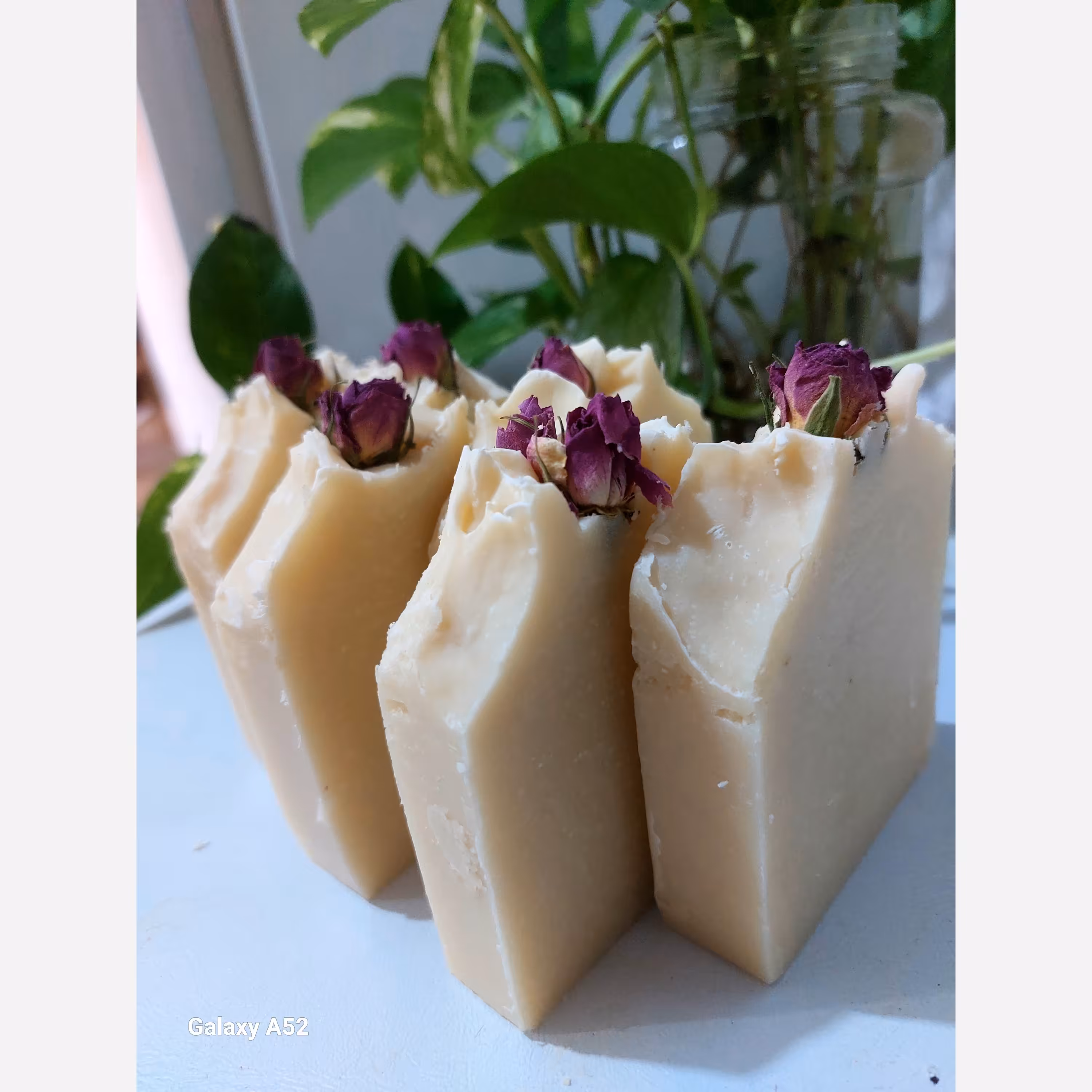 صابون درمانی  شتر مرغ 