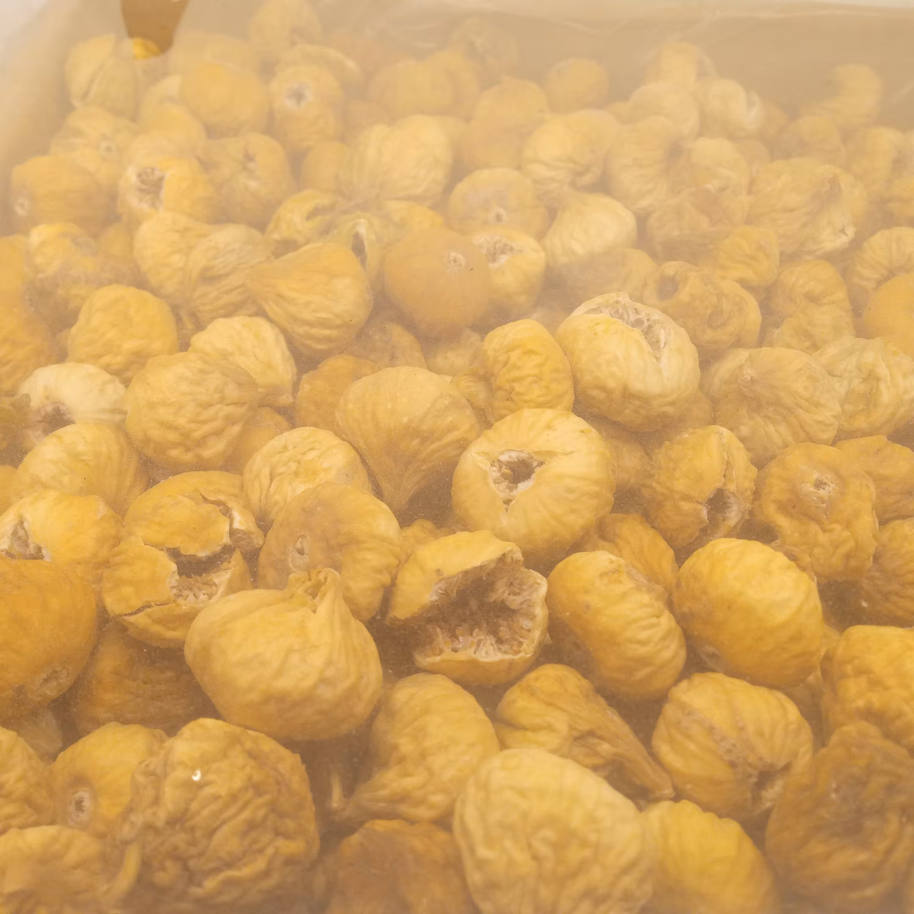 انجیر استهبان تازه ودرشت  امسالی 