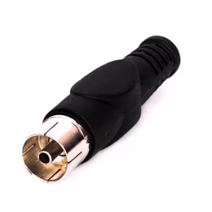 فیش ماده
