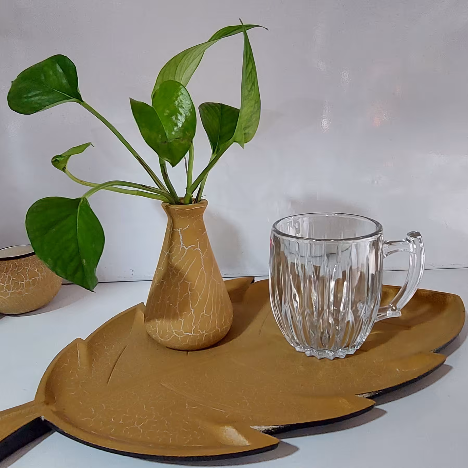 فنجان فرچیا(نوری تازه)