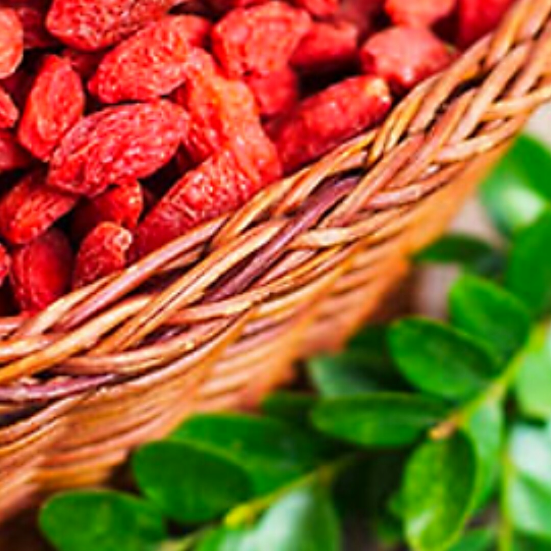گوجی بری و برگ گوجی بری