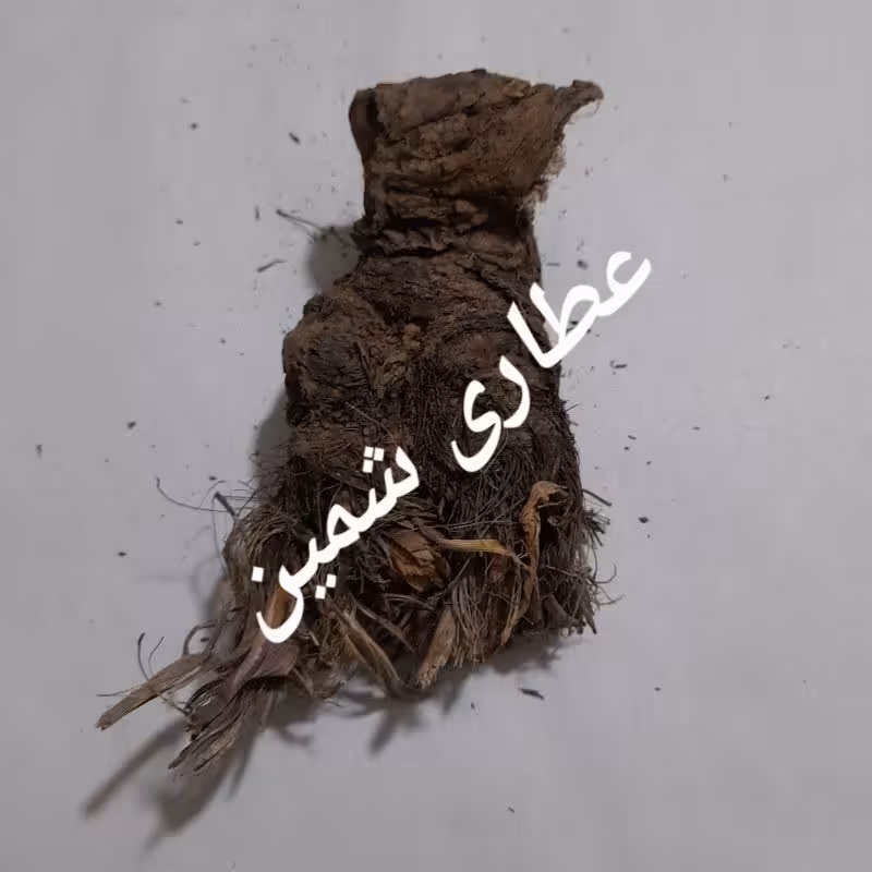 سنبل ختایی(ریشه آنجلیکا)50 گرم