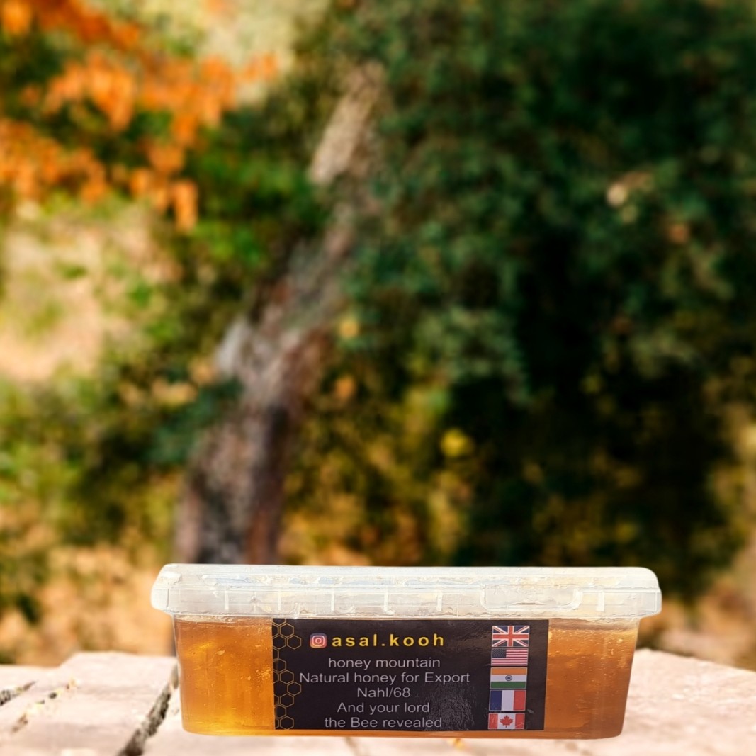 عسل طبیعی گون آویشن با موم(مستقیم از زنبوردار)(یک کیلویی)(ارسال رایگان)