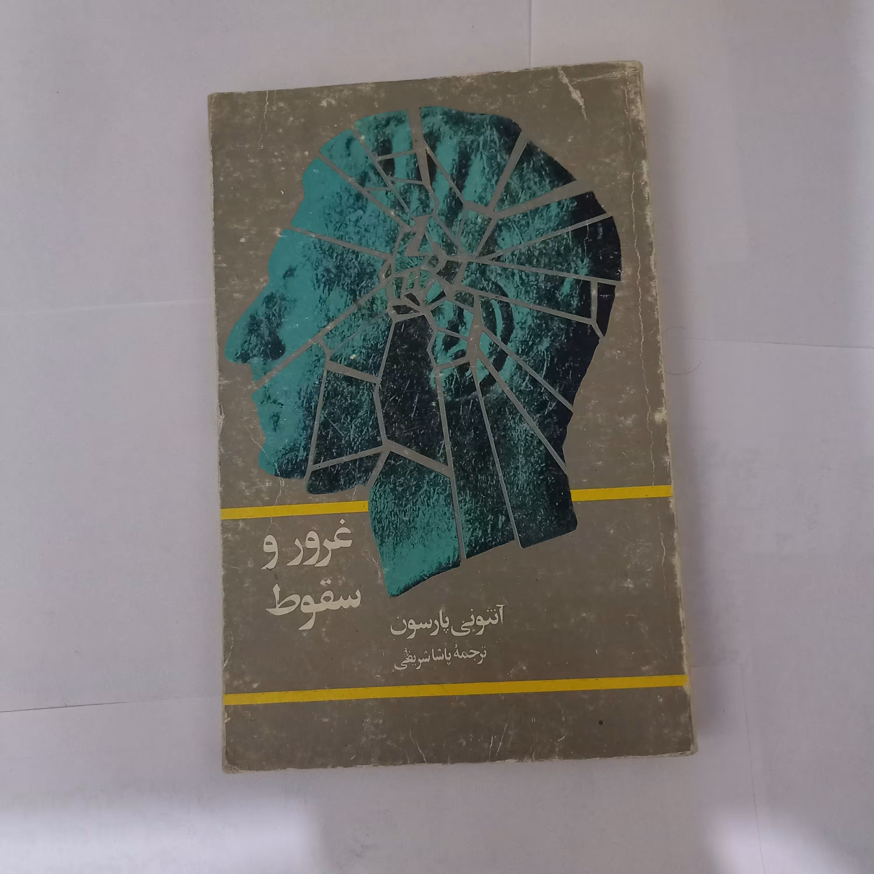 کتاب غرور و سقوط