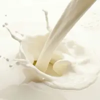 دوغ کفیر فله ای