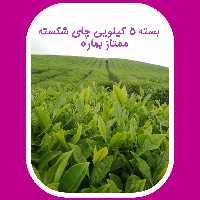 چای شکسته ممتاز بهاره 1403  قیصر (5 کیلو )