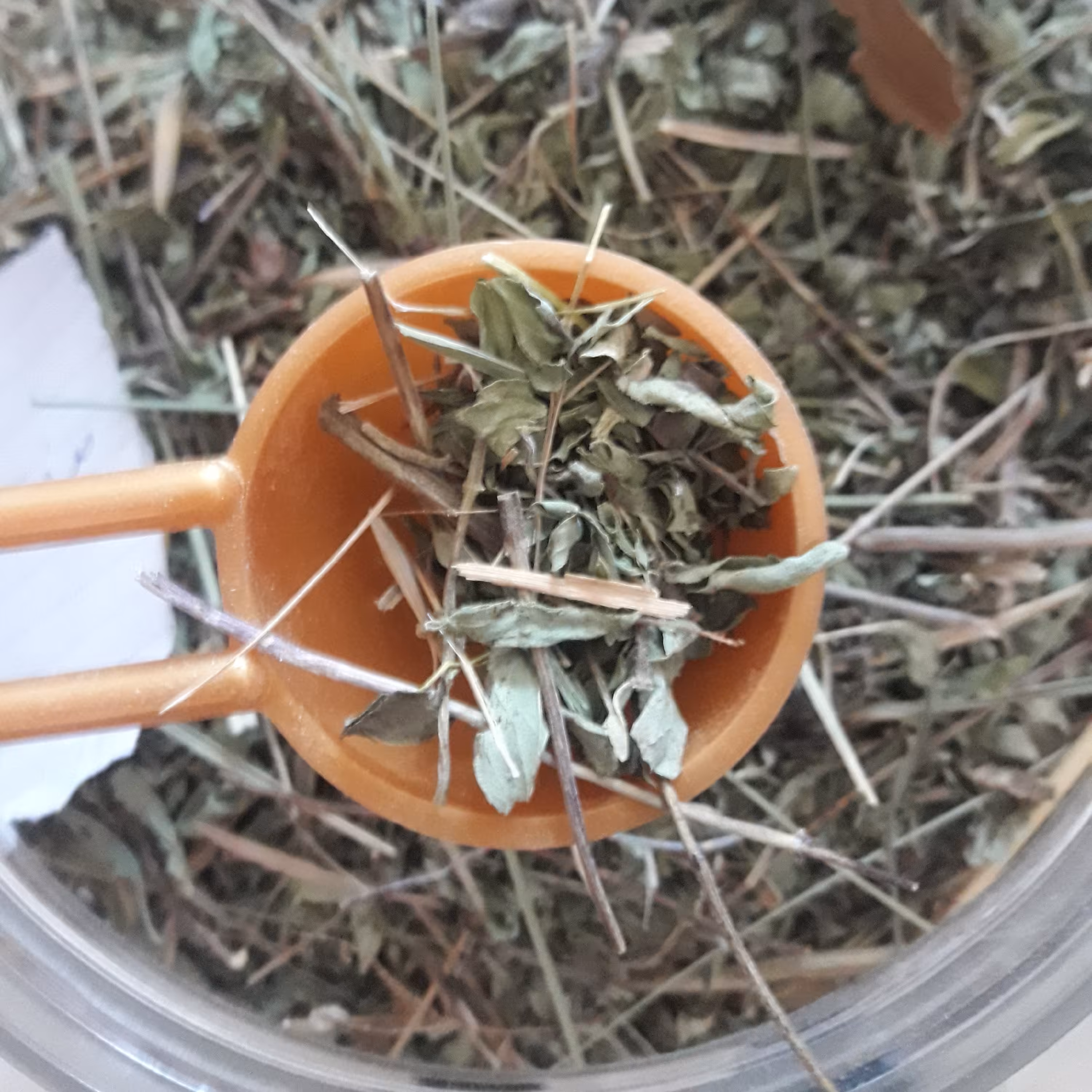 مرزنجوش خشک شده (بسته 100 گرمی)