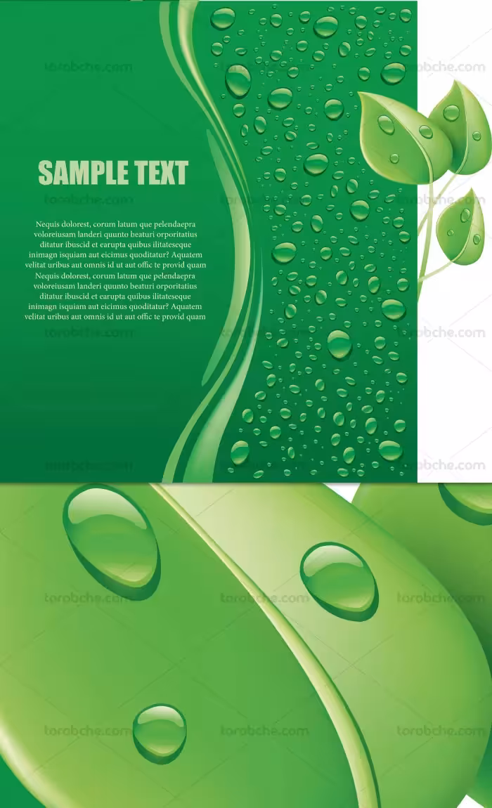 وکتور بکگراند برگ سبز | گرافیک با طعم تربچه