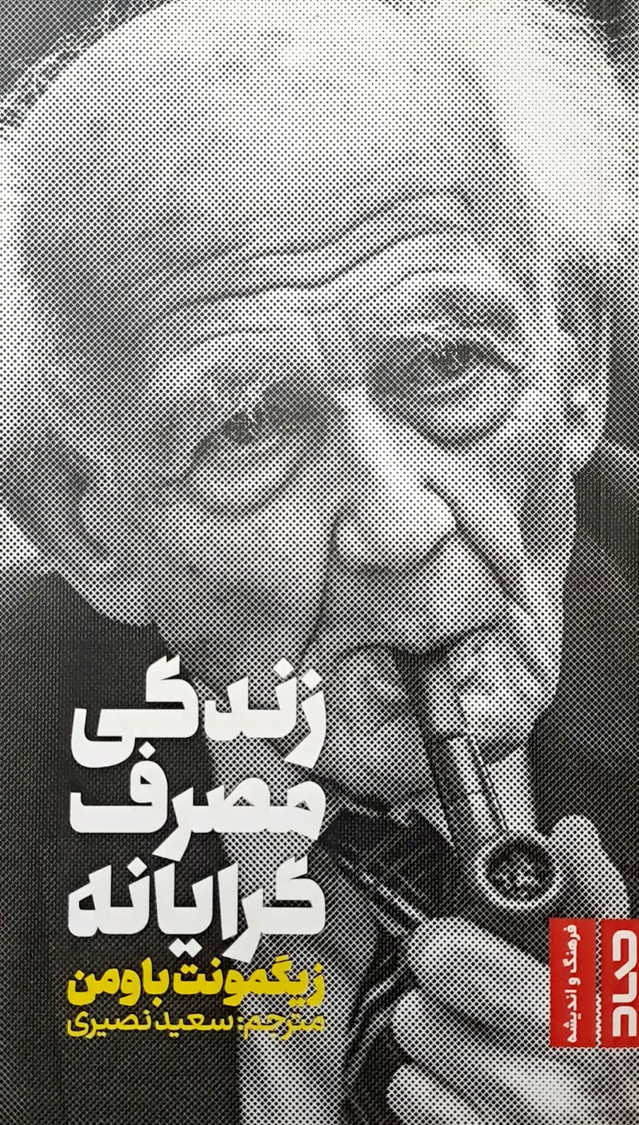 کتاب زندگی مصرف گرایانه
