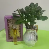 عطر طبیعی یاس رازقی برکات (4گرمی)