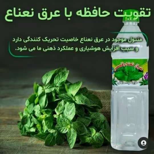 عرق نعنا(800گرم)