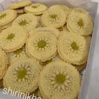 شیرینی کلمپه خرمایی دورپیچ کرمان با طعم هل