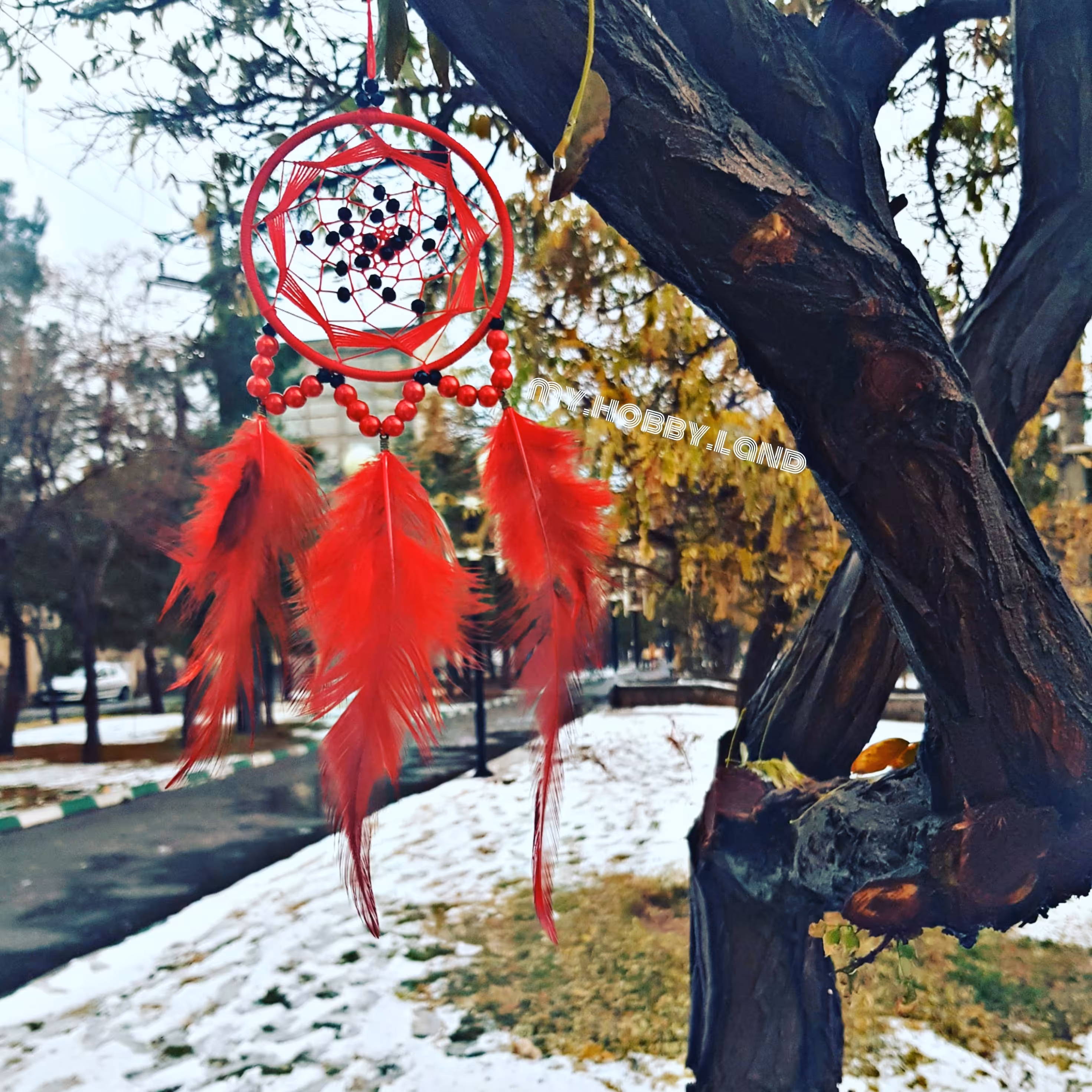 دریمکچر لاله