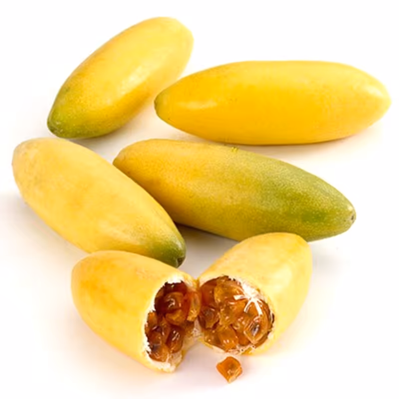 5 عدد  بذر پشن فروت موزی - Banana Passion Fruit
