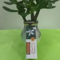 عطر طبیعی بهارنارنج برکات(1گرمی)