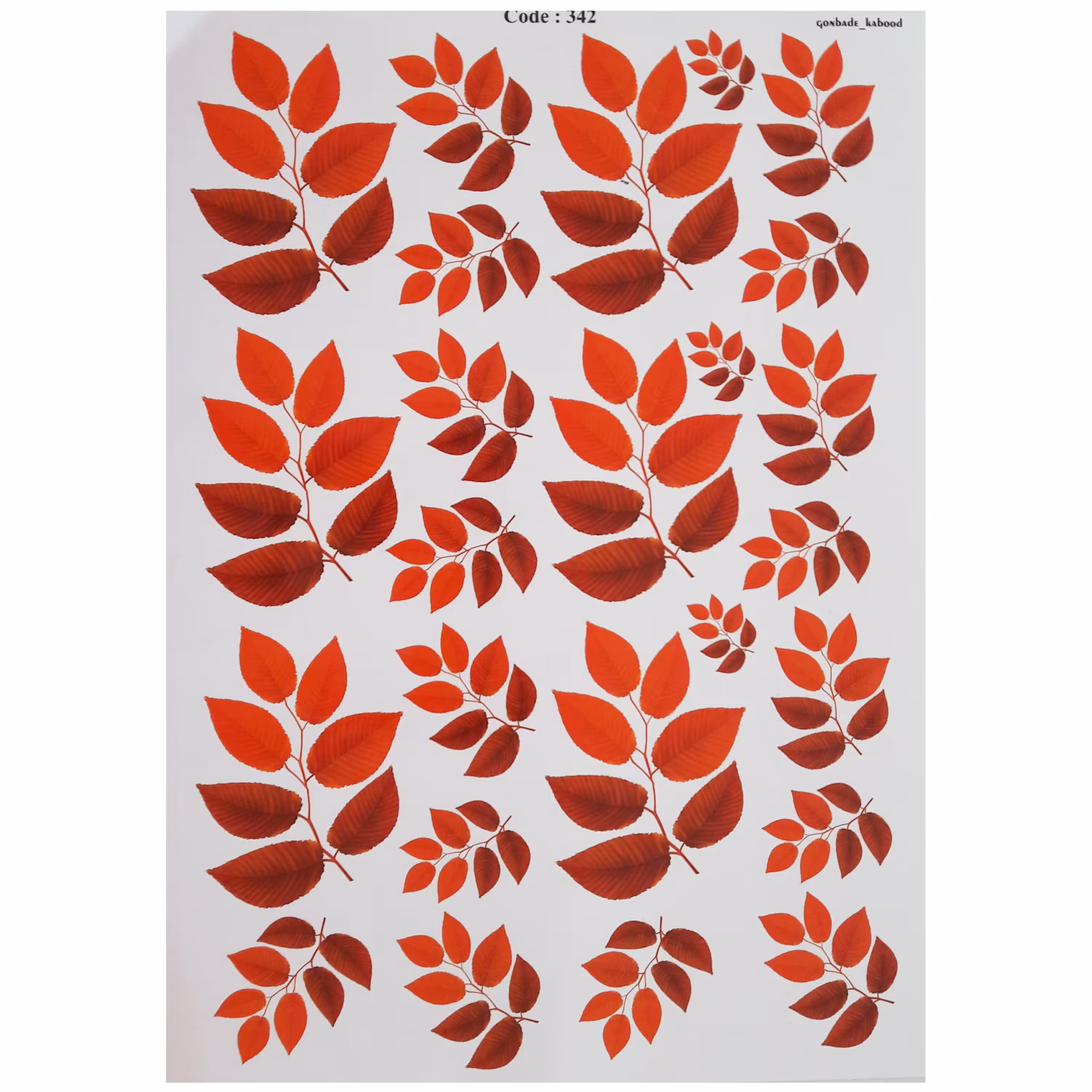 ترنسفر مدل برگ سوزنی ابعاد 30در40سانتی متر