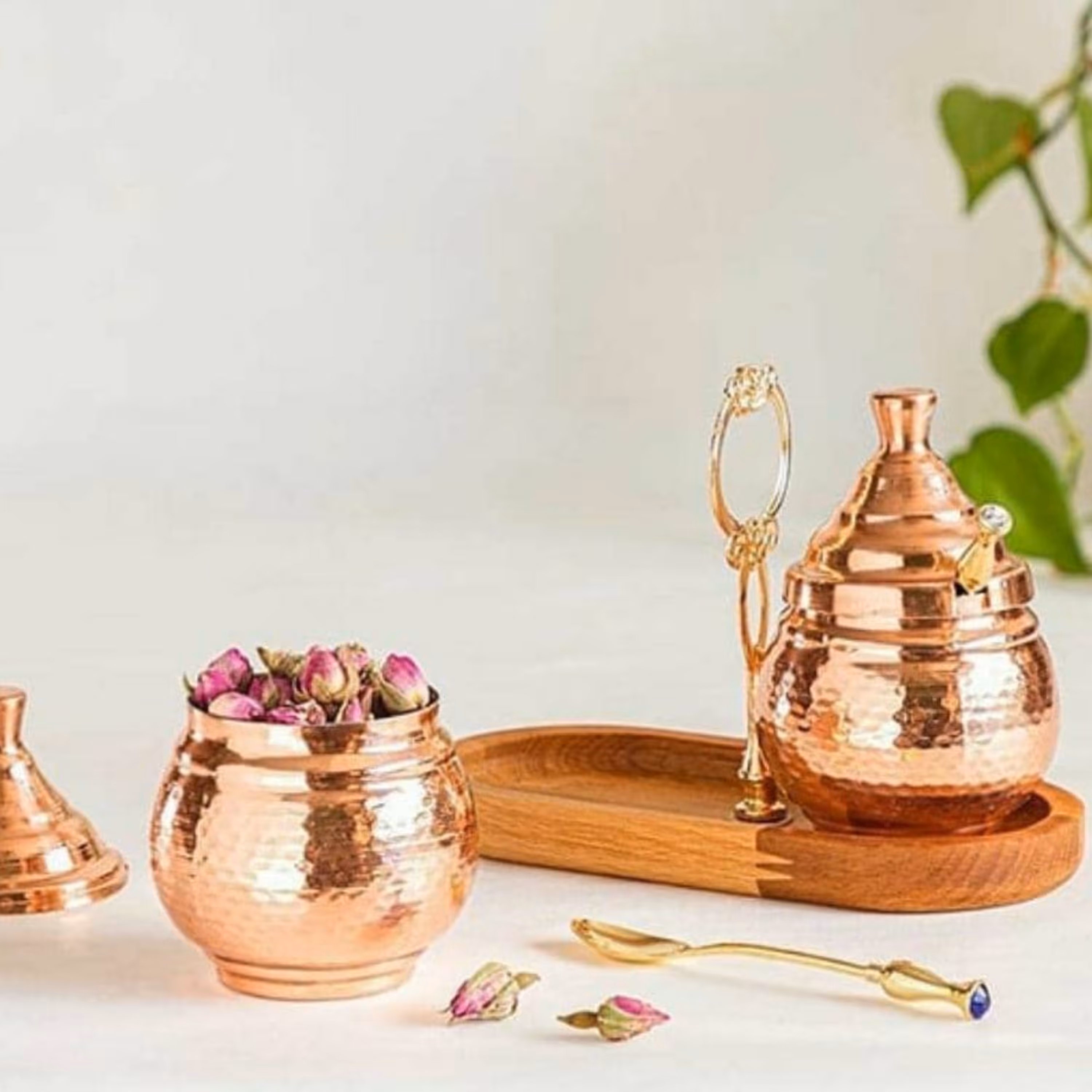 ظرف   نانوشده 2تایی مناسب سرو مربا و عسل و یا شکر و قهوه  محصول صادراتی 