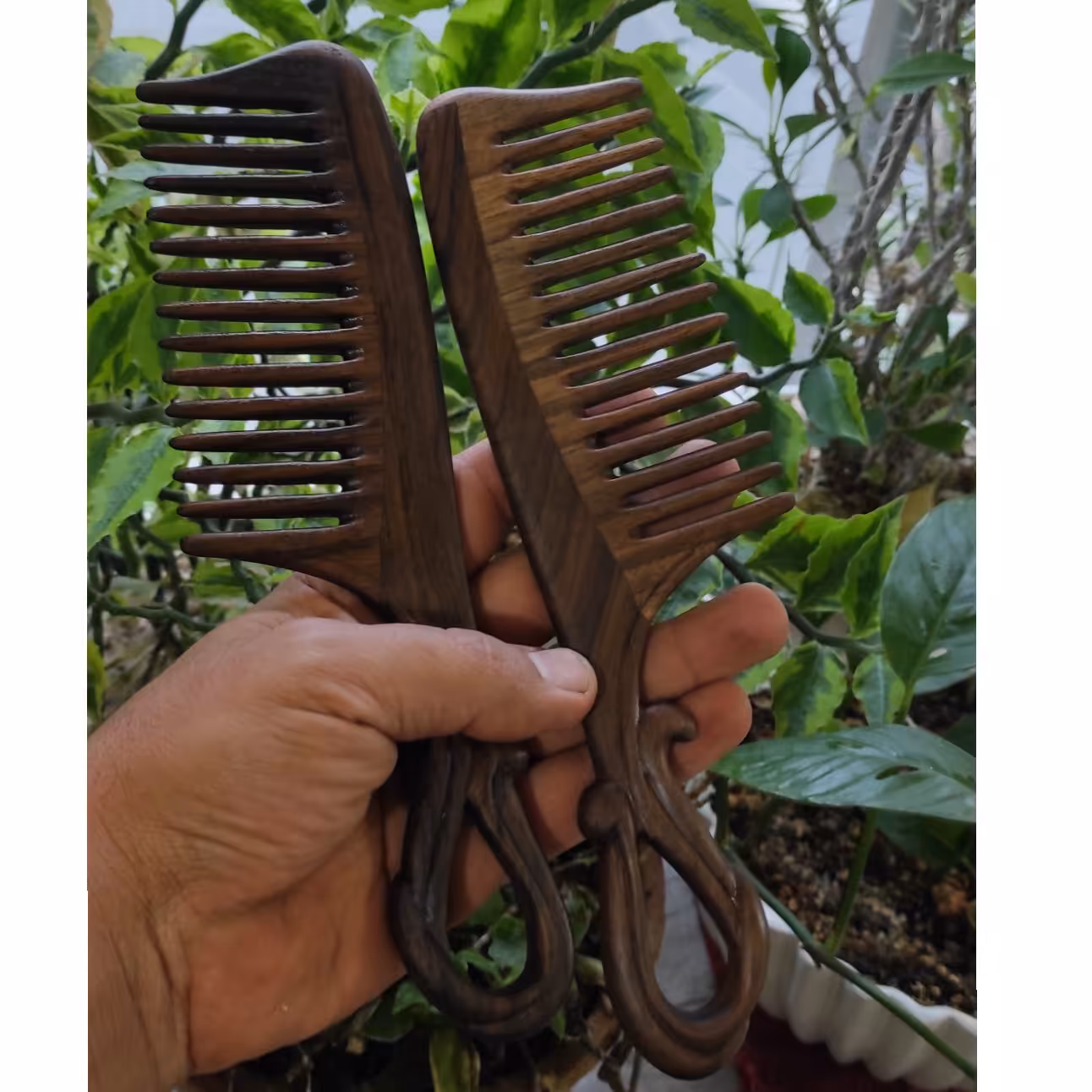 شونه چوب گردو نفیس