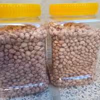 لوبیا چیتی دست چین تمیز درجه یک