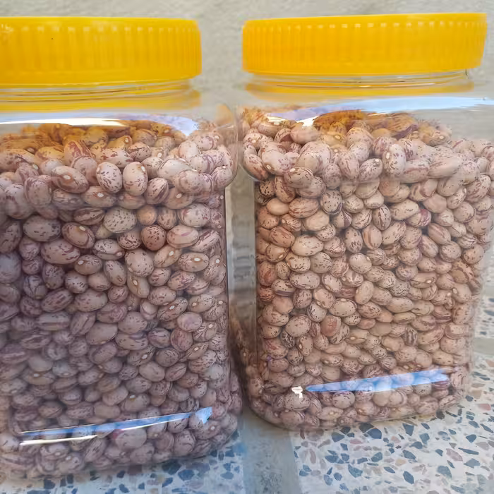 لوبیا چیتی دست چین تمیز درجه یک