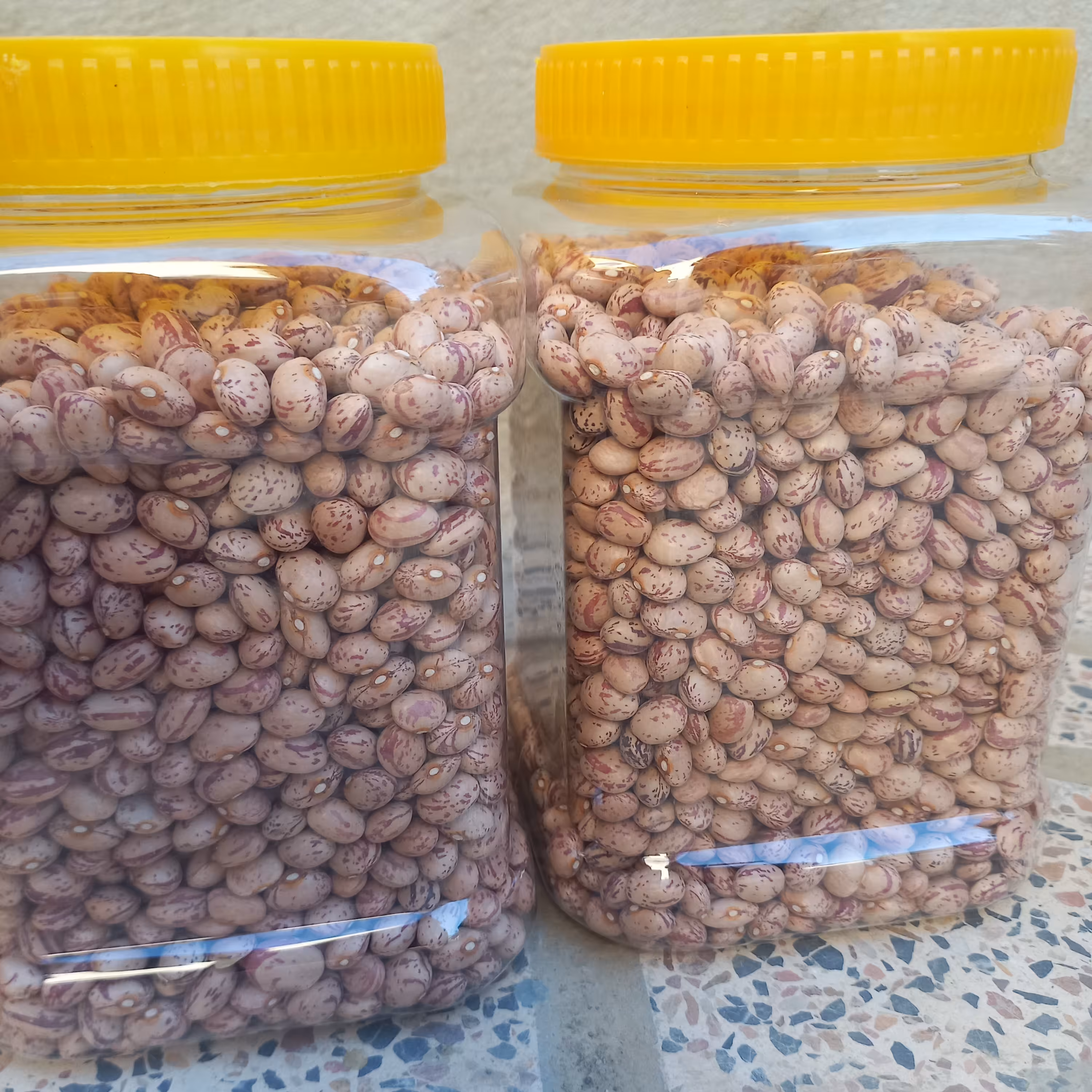 لوبیا چیتی دست چین تمیز درجه یک