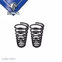 فنر لول دنا