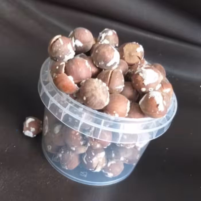 فندق محلی لوکس درجه یک ارسال رایگان 