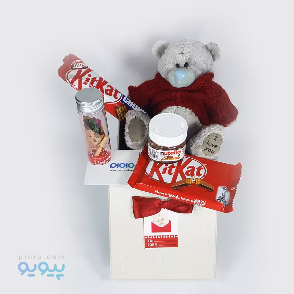 هدیه خاص ولنتاین عروسک تدی