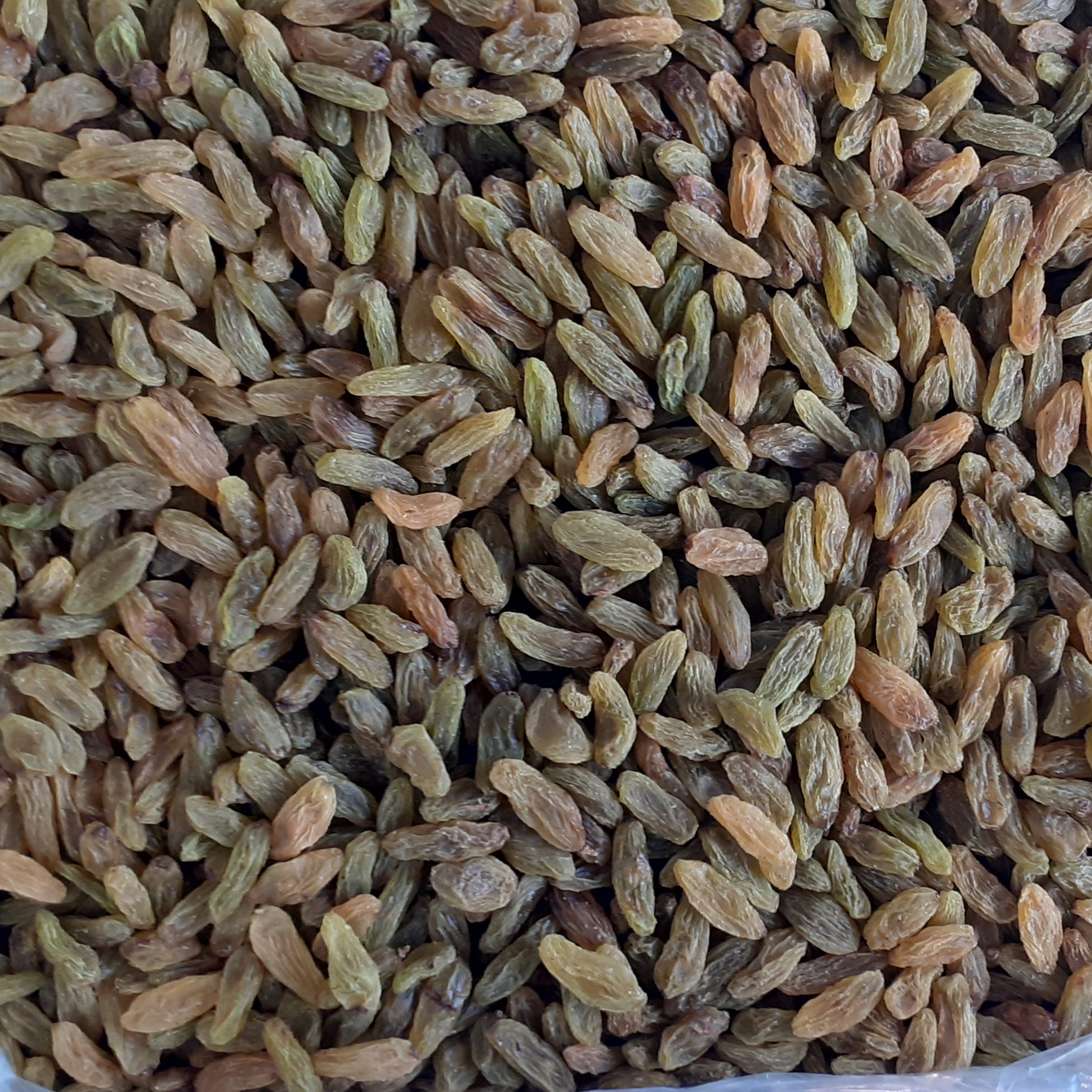 کشمش سبز نیم کیلویی 
