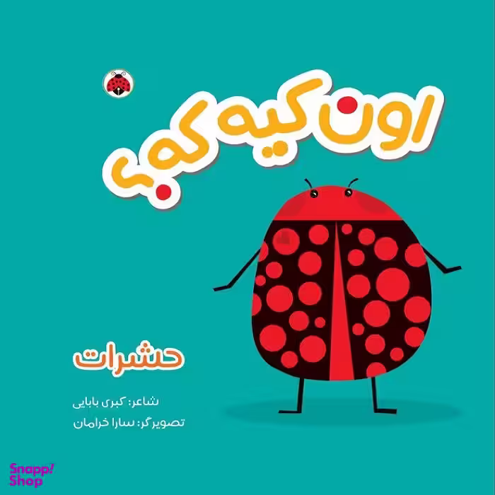 کتاب پارچه ای اون کیه که مدل حشرات اثر کبری بابایی نشر شهر قلم