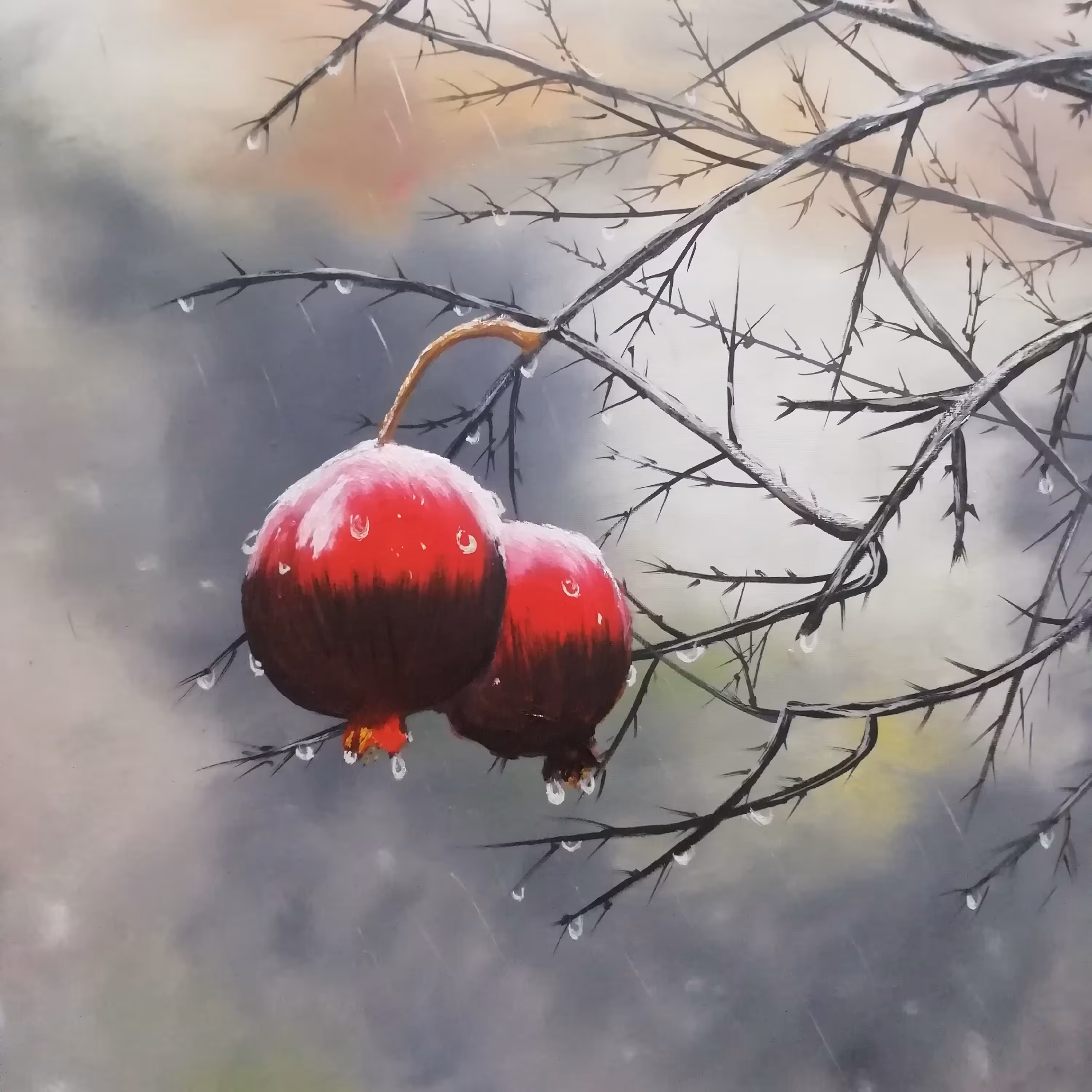 تابلو بوم وزنش 200 گرم ابعاد از 18 در 24 تا 50 در 70