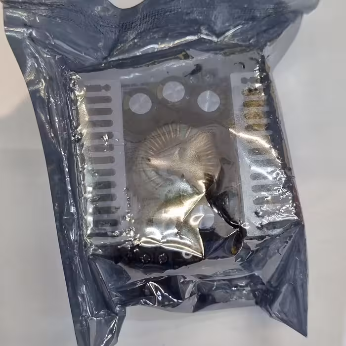 کاهنده 12آمپر