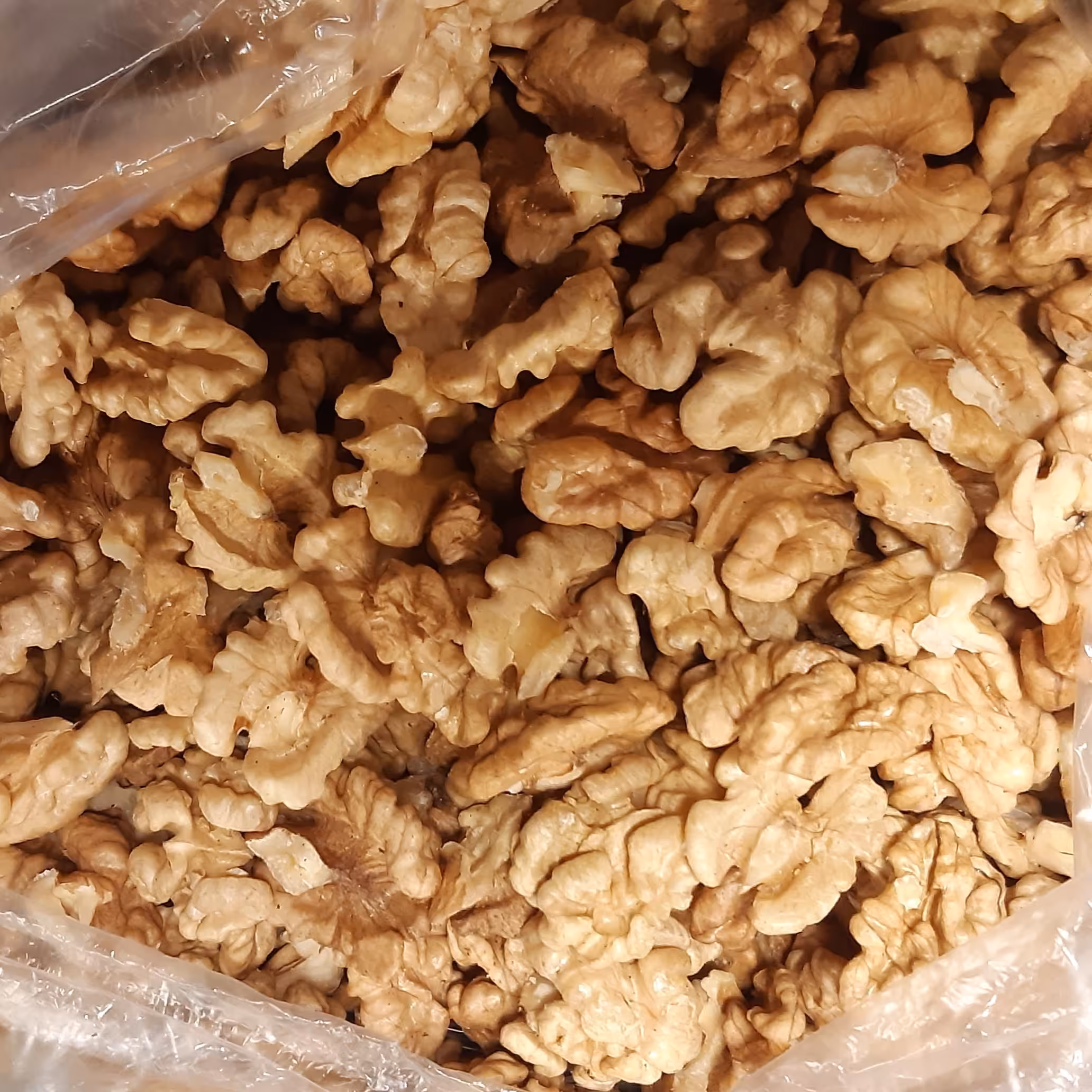 گردو اعلاء تویسرکان