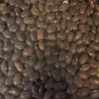 لوبیا قرمز  ایرانی 500 گرمی