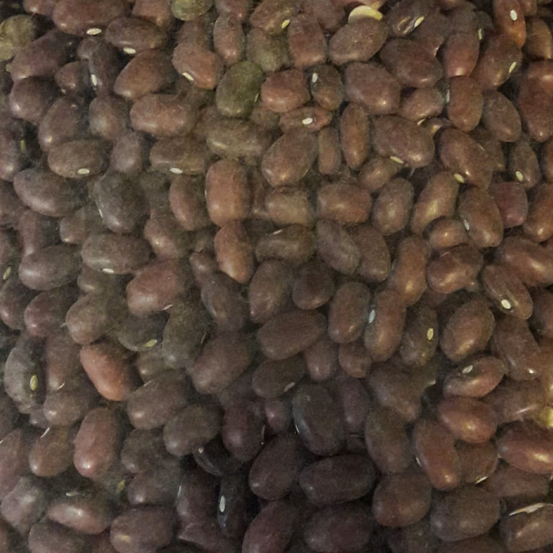 لوبیا قرمز  ایرانی 500 گرمی