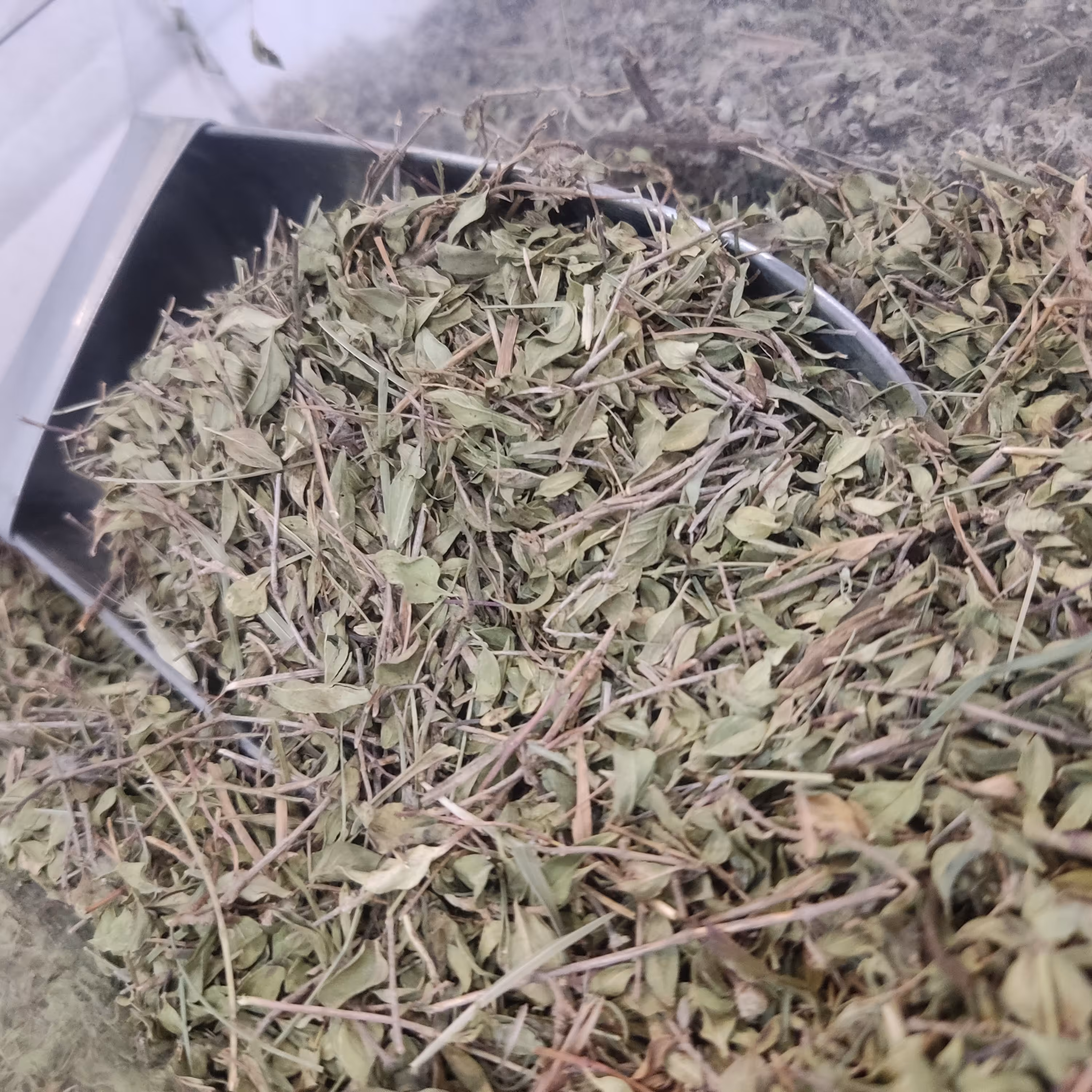 کاکوتی (500 گرم)