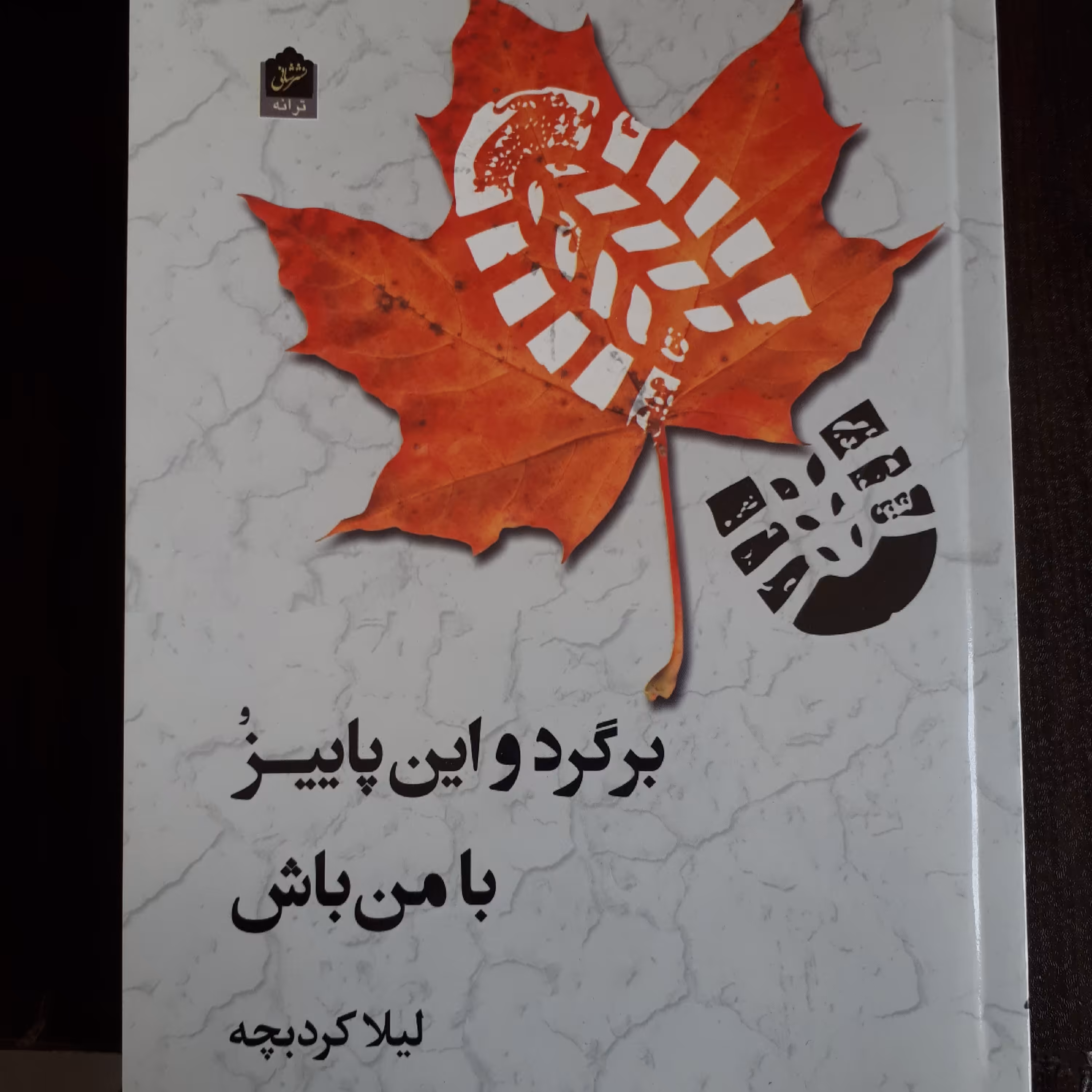 کتاب برگرد واین پاییز با من باش(مجموعه شعر)